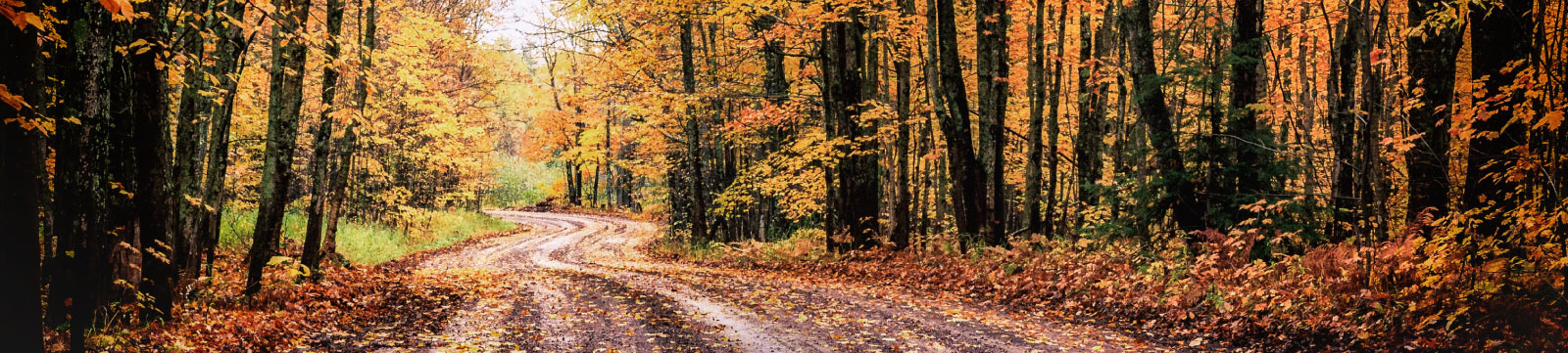 A Michigan road on a fall day